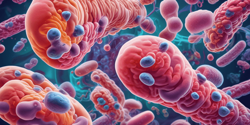 Gram Positive Bacilli Classification and Diseases Quiz
