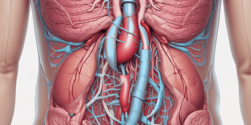 Ninja Nerd - Circulatory System | Pancreas Circulation Model