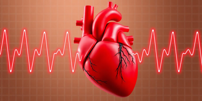 Heart Rate Regulation and Heart Sounds