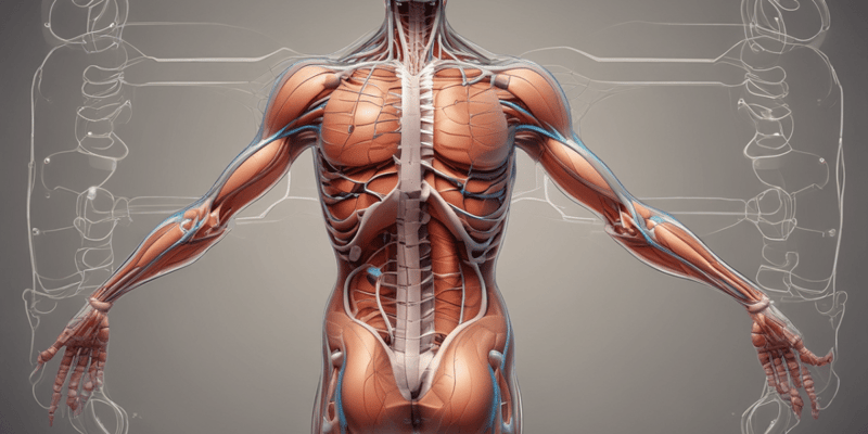 Human Body Systems Interactions