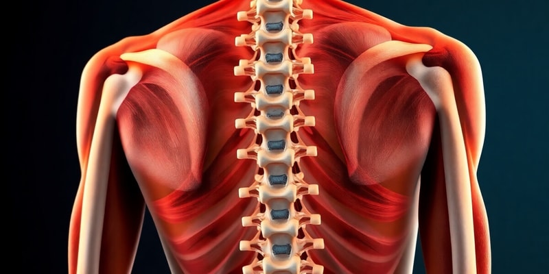 Spinal Deformities Overview