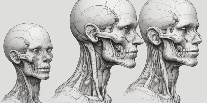 Anatomy of Head and Neck Veins