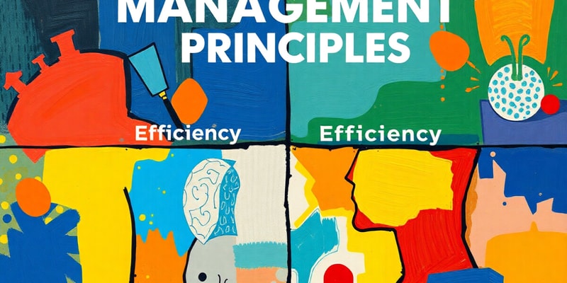 Management Principles Overview