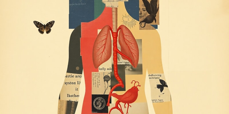 The Endocrine System Overview