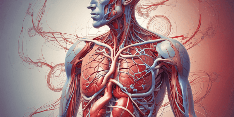 Physiology of Blood Flow Control