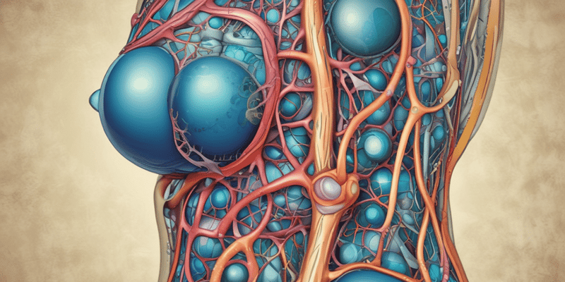 Lymphatic System and Fluid Management