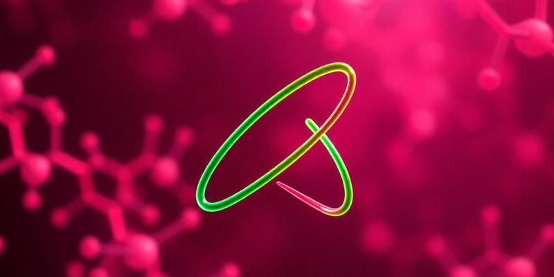 Metabolism of Biomolecules Overview