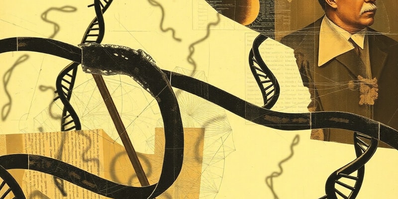 Biology Chapter: Chromosomes and Protein Synthesis