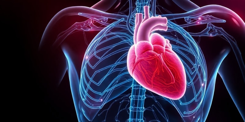 Skeletal and Cardiac Muscle Contraction