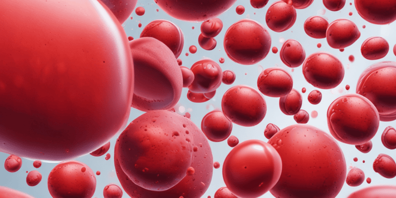 Anaemia: Types and Causes Overview