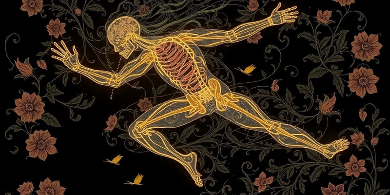 Kinematic Chains and Muscle Force Generation