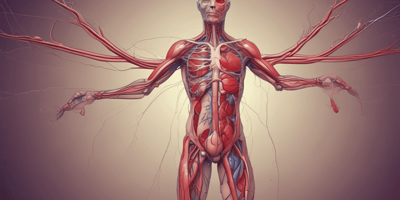 Circulatory Systems: Venous Return and Blood Vessels