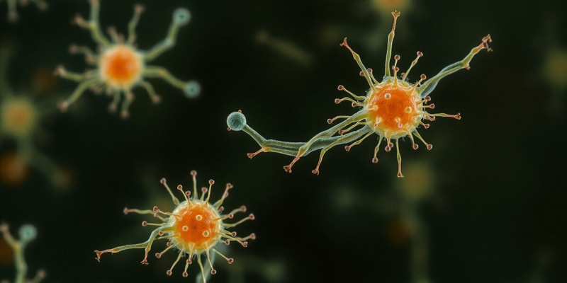 Microbial Organisms: Prokaryotes vs Eukaryotes