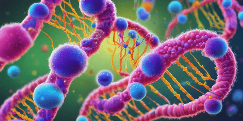 Bakteri DNA Replikasyonu Quiz