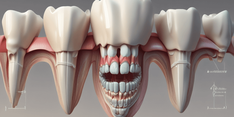 Dental Anatomy: Tooth Identification