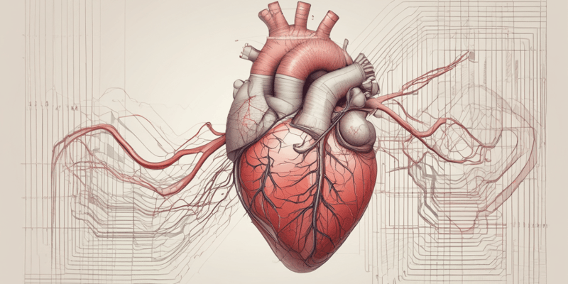 Cardiovascular System: Heart Failure and Regulation