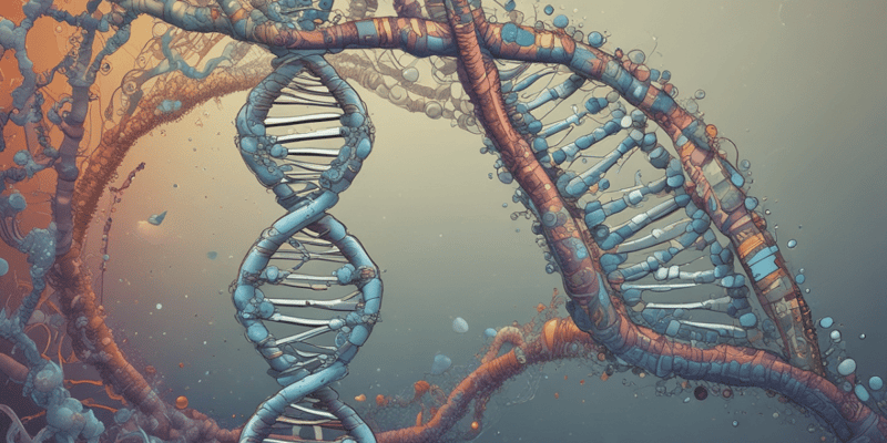 Understanding Human DNA and the Code of Life Quiz
