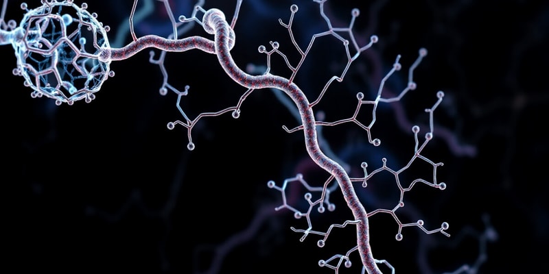 Glycolysis Overview and Mechanism