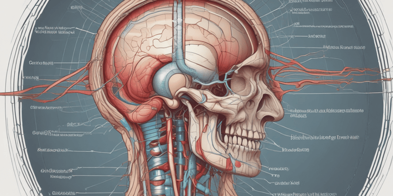 Optic Nerve Anatomy Quiz