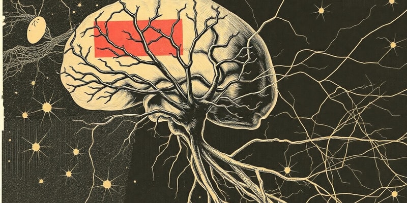 Human Nervous System Multiple Choice