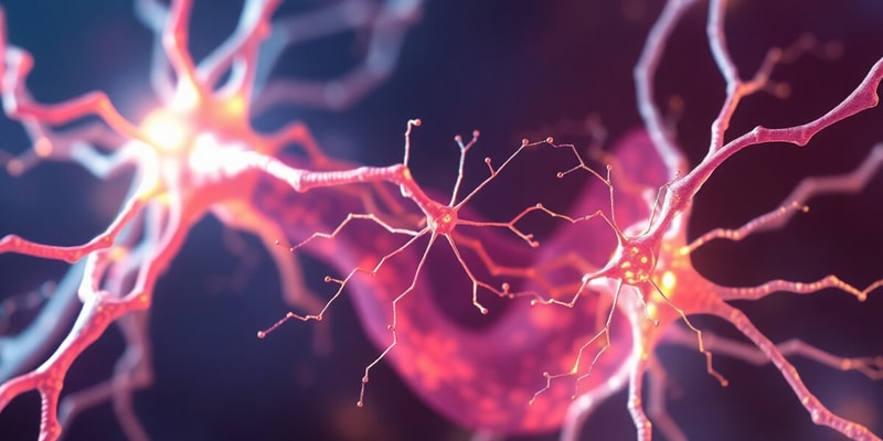 Cytoskeletal Filament Systems