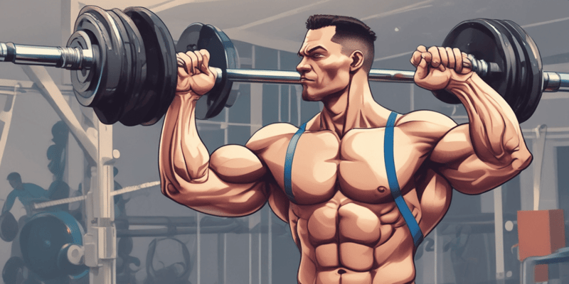 Muscle Building Essentials: Training, Nutrition, Recovery, and Overload