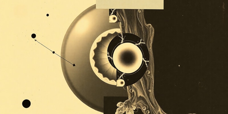 Fertilization & Cleavage in Human Development