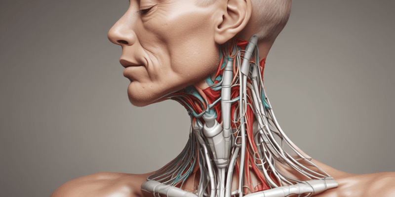 Inyecciones de Toxina Botulínica en Músculos del Cuello
