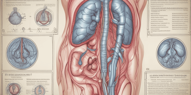 Appendicitis Clinical Significance