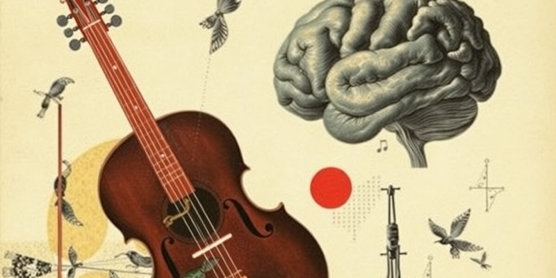 Music and Brain Function Quiz