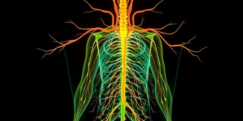 Lecture 5 Autonomic Nervous System Overview