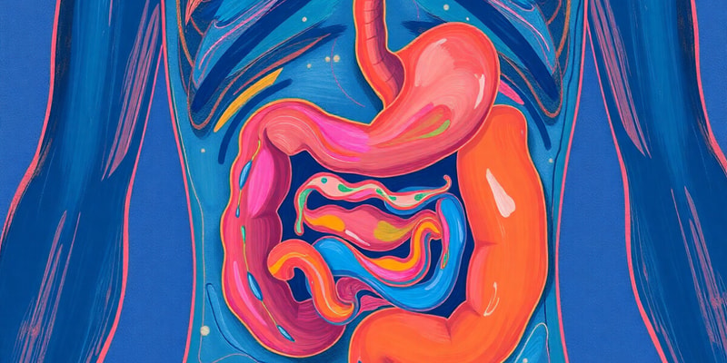 The Digestive System: A Journey Through the Alimentary Canal