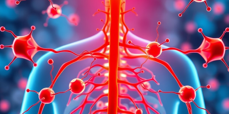 Parasympathetic Nervous System Overview