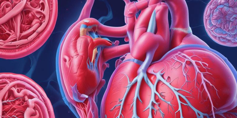 Infarto de Miocardio: Diagnóstico, Tratamiento, Factores de Riesgo, Prevención y Complicaciones