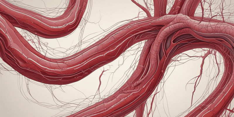 HEA1091: Blood Vessels and Blood Overview