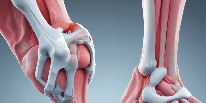 Orthopedic Treatment Options for Knee Osteoarthritis
