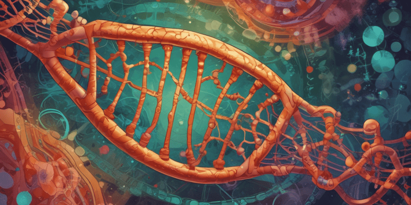 Mitochondrial DNA Structure and Function