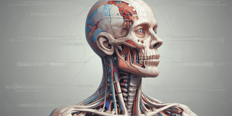 Medical Terminology Categories