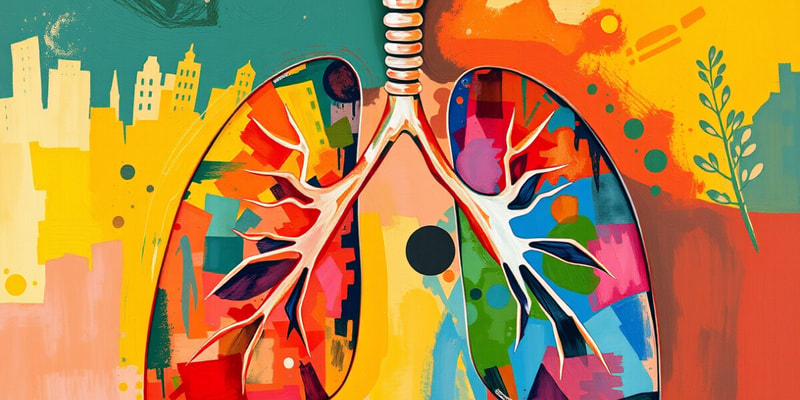 Breathing Frequency & Lung Volumes Quiz