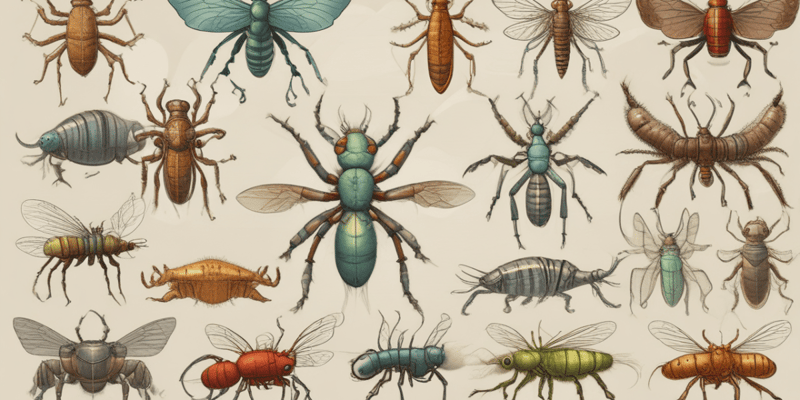 Arthropods: Invertebrates with Segmented Bodies