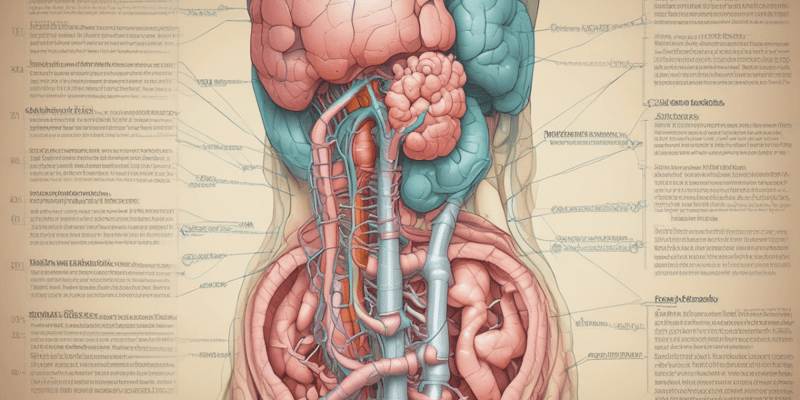 Terminology of Upper GI Tract