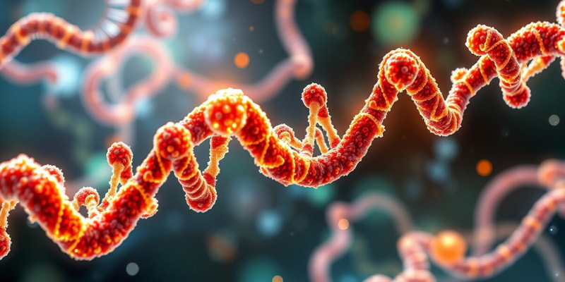 Nucleic Acids and DNA