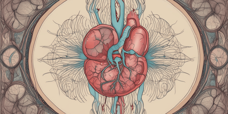 Anatomy of the Kidneys and its nephrons