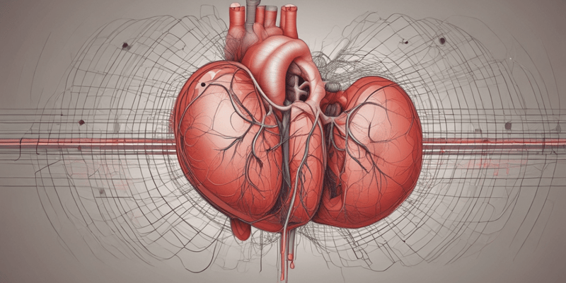 Cardiovascular System: Heart and Pericardium