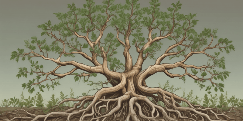 Plant Biology: Root Functions and Structure