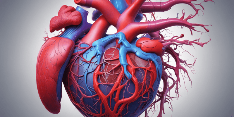 The Cardiovascular System: The Heart Anatomy Quiz