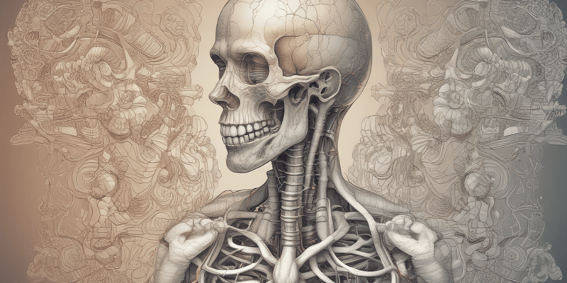 The Respiratory System