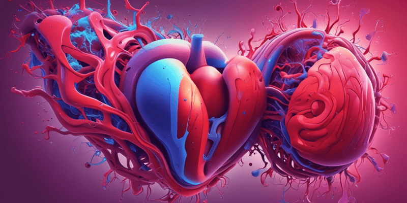 Cardiovascular System and Blood Composition Quiz