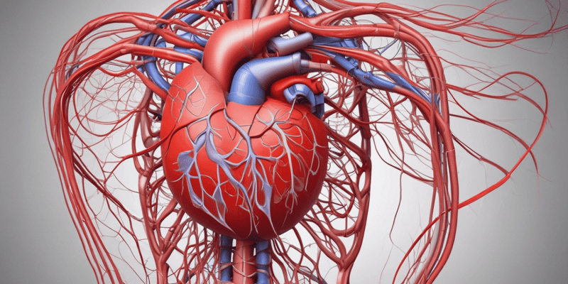 Cardiovascular System Circulation: NSCI5720 Vertebrate Anatomy & Physiology