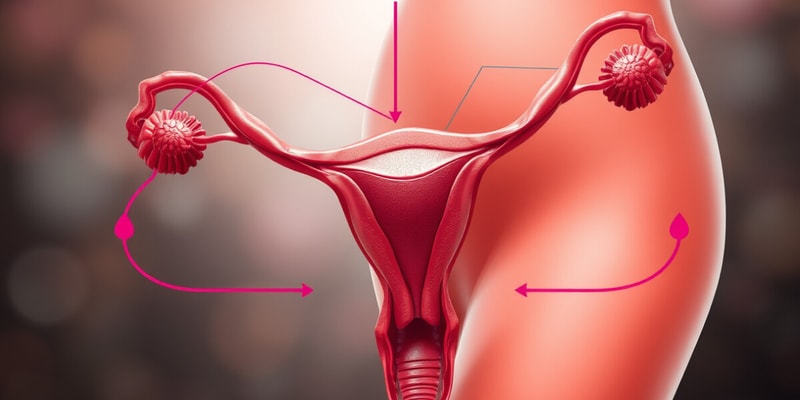 Biology Chapter 2.3 Hormonal Regulation in Menstrual Cycle